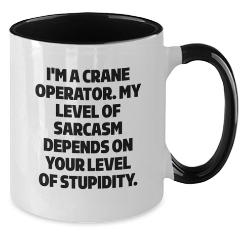 Image of Crane Operator Gifts, Funny Sarcasm Mug, Gifts from Men to Crane Operator Friends, Perfect Graduation Unique Gifts for Him - Additional
