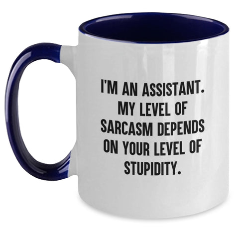 Image of Funny Assistant Gifts from Friends, Coworkers, Family - Two Tone Coffee Mug with Sarcasm Quote, Birthday Unique Gifts for Assistants - Main