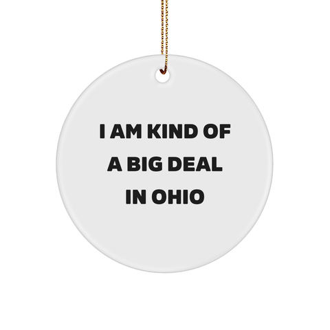 Image of Ohio Circle Ornament, I Am Kind Of A Prime Selection In Ohio Quote Gifts for Friends from Family - Image 1