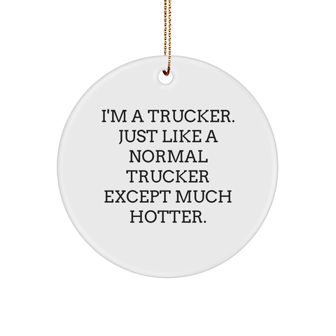 Image of Trucker Gifts for Men, Funny Circle Ornament, 'I'm A Trucker. Just Like A Normal Trucker Except Much Hotter.' Quote, Gifts from Friends, Family, Coworkers, Christmas Unique Gifts for Him - Image 1