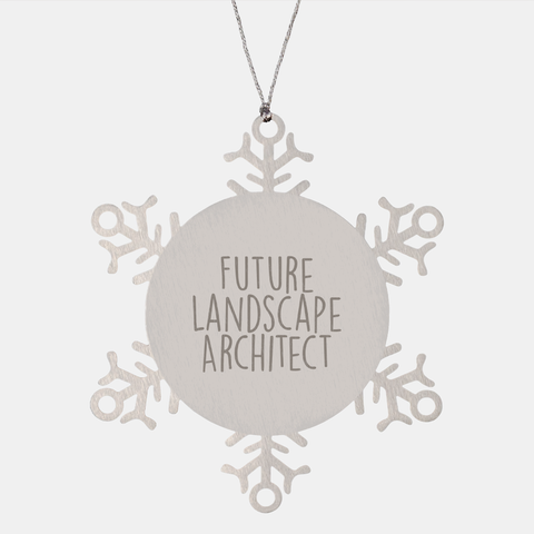 Image of Gifts for Future Landscape Architects - Shatterproof Snowflake Ornament - Christmas Unique Gifts from Landscape Architect to Future Landscape Architect - Inspirational Gifts for Christmas - Image 1
