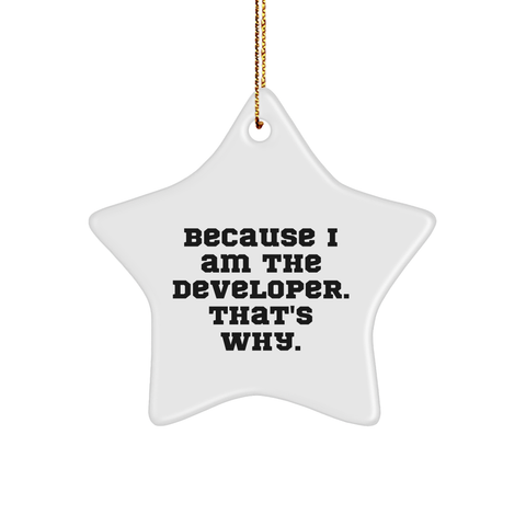 Image of Developer Gifts, Christmas Star Ornament Because I Am The Developer, That's Why., Gift for Men, Gifts from Family - Image 1