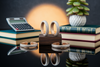 5 Premium Bracelets Successful Accountants Love for 2025