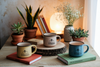 Best Mugs 2026 for Veterinarians