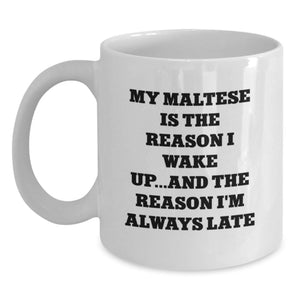 Funny Maltese Dog Quote Gifts from Friends for Valentine's Unique White Coffee Mug - Main