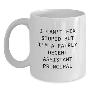 Funny Assistant Principal Gifts - I Can't Fix Stupid But I'm A Fairly Decent Assistant Principal White Coffee Mug for Birthday from Friends - Main