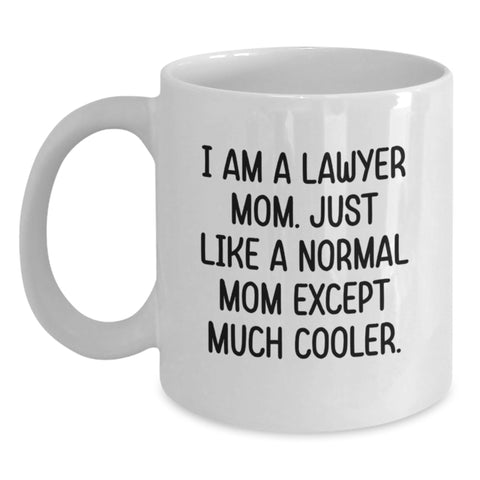 Image of Funny Lawyer Gifts from Mom to Lawyer Friends on Birthday Unique Gifts - Main