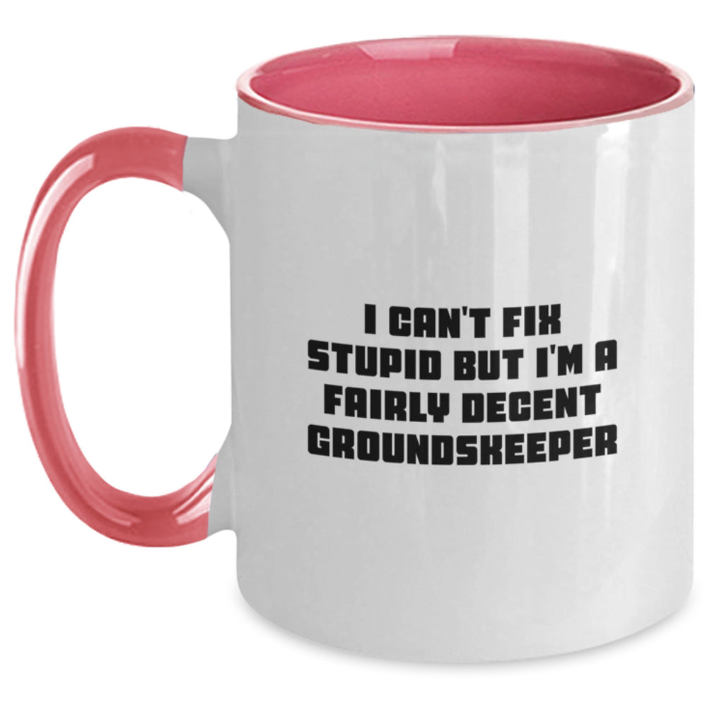 Funny groundskeeper Gifts for Men from Friends, I Can't Fix Stupid But I'm A Decent groundskeeper Two Tone Coffee Mug, Christmas Unique - Main