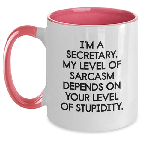 Image of Funny Secretary Gifts from Men to Women, Two Tone Coffee Mug with Sassy Quote, Christmas Unique Presents - Main
