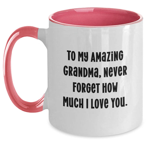 Image of Funny Grandma Gifts from Family to Grandma for Graduation Unique Two Tone Coffee Mugs with Never Forget How Much I Love You Quote - Main