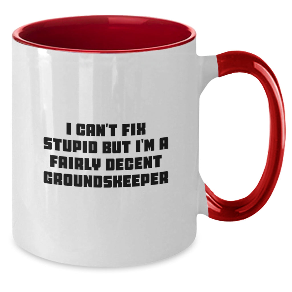 Funny groundskeeper Gifts for Men from Friends, I Can't Fix Stupid But I'm A Decent groundskeeper Two Tone Coffee Mug, Christmas Unique - Additional