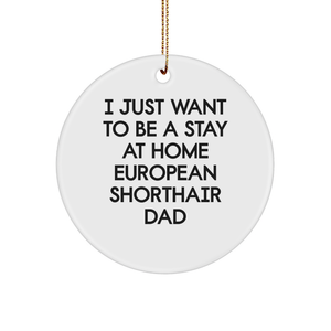 European Shorthair Cat Dad Gifts, 'I Just Want To Be A Stay At Home Dad' Circle Ornament, White, Christmas Unique Gifts from Men to European Shorthair Cat Owners - Image 1