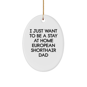 European Shorthair Cat Dad Oval Ornament, Funny Gift for Men from Family, 'I Just Want To Be A Stay At Home European Shorthair Dad', Christmas Unique Gifts - Image 1