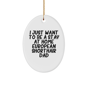 European Shorthair Cat Dad Gifts, Oval Ornament, I Just Want To Be A Stay At Home European Shorthair Dad, Christmas Unique Gifts from Family, for European Shorthair Cat Lovers - Image 1