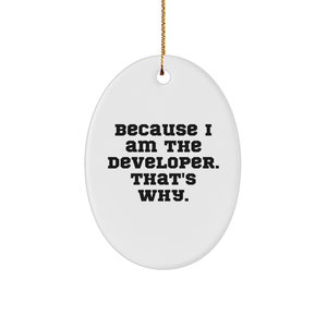 Developer Gifts from Friends, Because I Am The Developer. That's Why., Oval Ornament for Christmas, Gifts for Developer, Unique Developer Gift, Developer Mug - Image 1