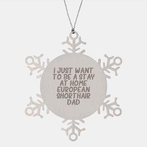 European Shorthair Cat Gifts, Funny Snowflake Ornament, 'I Just Want To Be A Stay At Home European Shorthair Dad' Christmas Unique Gifts from Friends to Family - Image 1