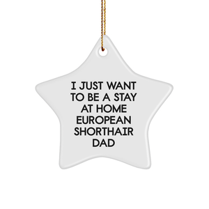 European Shorthair Cat Dad Star Ornament Gift for Men from Friends, 'I Just Want To Be A Stay At Home Dad' - Unique Christmas Unique Gift for European Shorthair Cat Enthusiasts - Image 1