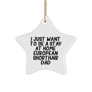European Shorthair Cat Dad's Funny Star Ornament Gifts from Family for Christmas - Image 1