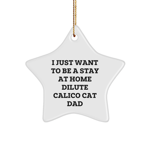 Dilute Calico Cat Dad's Christmas Unique Gift - I Just Want To Be A Stay At Home Dilute Calico Cat Dad Star Ornament, Funny Gift for Friends, Family, or Coworkers, Christmas Unique Gifts from Men - Image 1