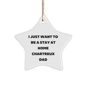 Funny Chartreux Cat Gifts, Star Ornament for Men Gifts from Dad, Chartreux Cat Christmas Unique Gifts for Him, 'I Just Want To Be A Stay At Home Chartreux Dad' Quote - Image 1
