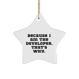 Developer Gifts, Christmas Star Ornament Because I Am The Developer, That's Why., Gift for Men, Gifts from Family - Image 1