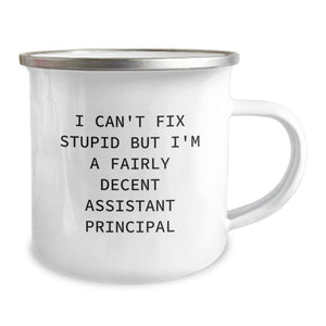 Funny Assistant Principal Gifts, Camping Mug for Birthday 'I Can't Fix Stupid But I'm A Fairly Decent Assistant Principal' from Friends, Coworkers, Family to Assistant Principals