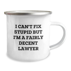 Funny Lawyer Gifts for Men, Unique Christmas Unique Gifts from Friends to Lawyer Colleagues, I Can't Fix Stupid But I'm A Fairly Decent Lawyer Mug