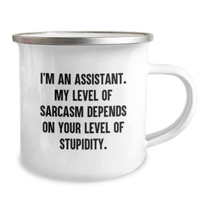 Funny Sarcasm Assistant Gifts for Birthday, Gifts from Friends to Assistant, 12 oz Camping Mug