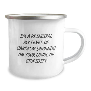 Funny Principal Christmas Unique Gifts from Men for Principal Friends and Family - Camping Mug