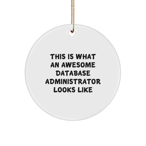 Funny Database Administrator Gifts, This Is What An Awesome Database Administrator Looks Like, Circle Ornament, Christmas Unique Gifts for Men, Women, Friends, Coworkers, Family - Image 1