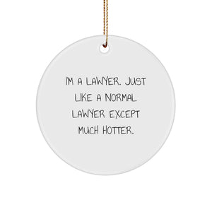 Funny Lawyer Gifts for Men, Christmas Unique Lawyer Circle Ornament, 'I'm A Lawyer. Just Like A Normal Lawyer Except Much Hotter.', Lawyer Decor, Lawyer Present from Family, Friends, Coworkers - Image 1