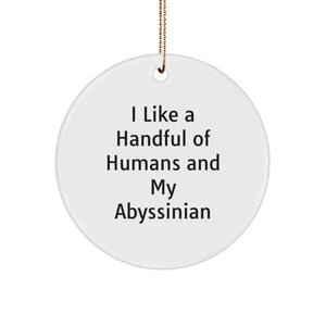 Abyssinian Cat Christmas Circle Ornament Gifts from Friends for Cat Lovers - Image 1