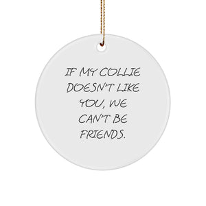 Funny Collie Dog Gifts from Friends for Men Women Family Christmas Unique Collie Dog Circle Ornament - Image 1
