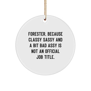 Forester Gifts, Funny Circle Ornament, Gifts from Friends, Gifts for Forester, Classy Sassy And A Bit Fearlessy Is Not An Official Job Title. - Image 1