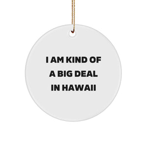 Funny Hawaii Circle Ornament Gifts from Friends and Family for Hawaii Men and Women - I Am Kind Of A Prime Selection In Hawaii Christmas Decorations - Image 1