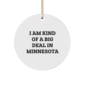 Funny Minnesota Gifts from Friends for Christmas Unique Circle Ornament I Am Kind Of A Prime Selection - Image 1