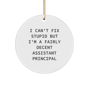 Funny Assistant Principal Gifts, I Can't Fix Stupid But I'm A Fairly Decent Circle Ornament for Christmas, Gifts from Friends and Family to Assistant Principal - Image 1