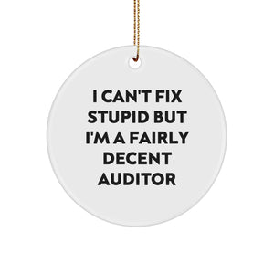 Funny Auditor Gifts for Women from Friends, Circle Ornament with Quote I Can't Fix Stupid But I'm A Fairly Decent Auditor, Christmas Unique - Image 1