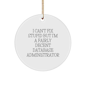 Funny Quirky Gifts for Database Administrator Friends from Family - I Can't Fix Stupid But I'm A Fairly Decent Database Administrator Christmas Circle Ornament - Image 1