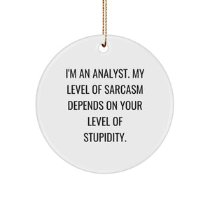 Sarcastic Analyst Gifts from Friends and Family - Christmas Circle Ornament for Men and Women - 'I'm An Analyst. My Level Of Sarcasm Depends On Your Level Of Stupidity.' - Image 1