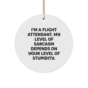Flight Attendant Humor Circle Ornament, Gifts from Friends and Family for Christmas, 'I'm A Flight Attendant. My Level Of Sarcasm Depends On Your Level Of Stupidity.' - Image 1