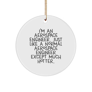 Funny Aerospace Engineer Christmas Unique Gift for Men Friends Coworkers - 'I'm An Aerospace Engineer...' Circle Ornament - Image 1