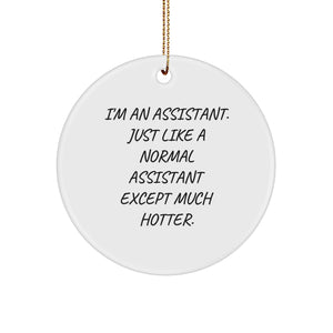 Funny Assistant Gifts from Friends for Christmas - Circle Ornament with I'm An Assistant. Just Like A Normal Assistant Except Much Hotter. - Image 1