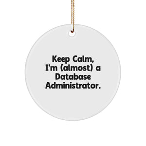 Funny Database Administrator Gifts for Men or Women - Keep Calm, I'm (almost) A Database Administrator. Circle Ornament for Christmas - Image 1