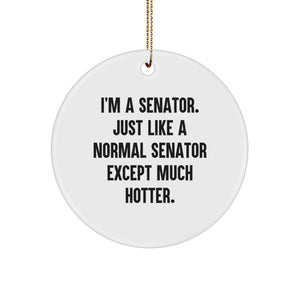 Senator Gifts from Friends, Funny Circle Ornament, I'm A Senator, Just Like A Normal Senator Except Much Hotter., Christmas Unique Gifts - Image 1
