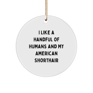 American Shorthair Cat Lover's Christmas Unique Circle Ornaments - 'I Like A Handful Of Humans And My American Shorthair' Funny Quote Gift for Cat Enthusiasts, Friends, Family - Image 1