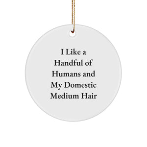 Funny Domestic Medium Hair Cat Circle Ornament - Gifts from Friends for Christmas Unique Gifts - Image 1