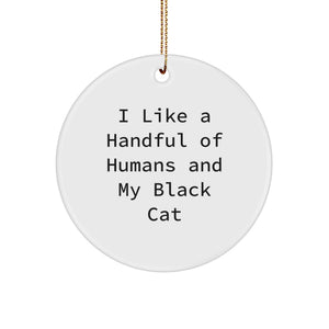 Funny Black Cat Gifts from Men to Friends for Christmas Circle Ornament - Image 1