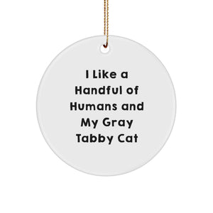 Funny Gray Tabby Cat Gifts from Men to Friends, Unique Christmas Decorations for Home, Circle Ornament for Cat Lovers - Image 1