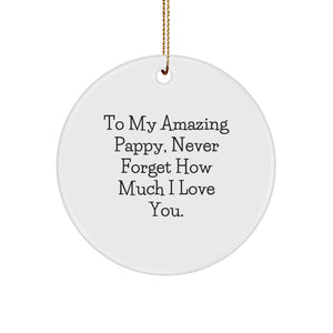 Funny Pappy Gifts from Family for Him, Christmas Unique Circle Ornament with 'To My Amazing Pappy, Never Forget How Much I Love You.' Quote - Image 1